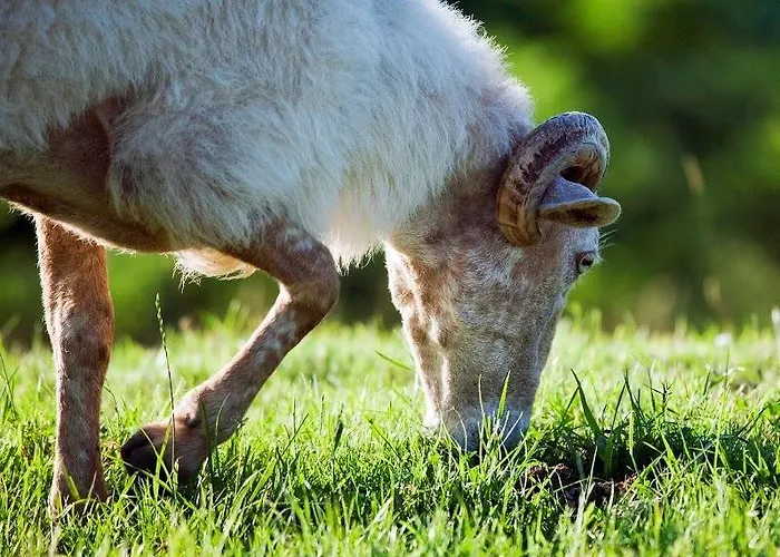 Lusarbe Apartment Orio